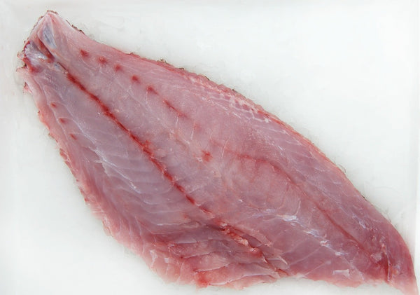 Curing Striped Bass Fillets